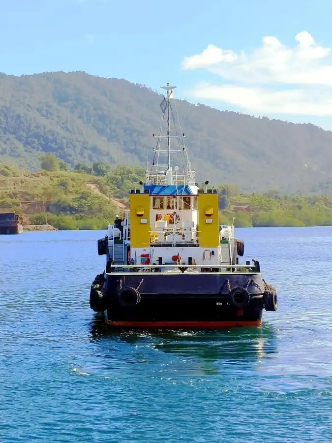 Towboat for sale