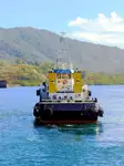 Towboat for sale