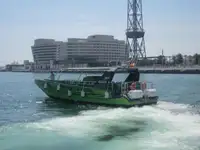 Cruise ship for sale