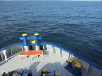 Reefer ship for sale