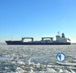Reefer ship for sale