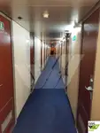 Cruise ship for sale