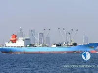 Reefer ship for sale