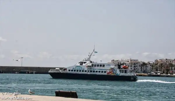 Catamaran for sale