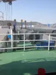 Dredger for sale