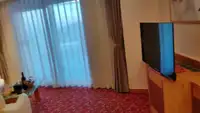 Cruise ship for sale
