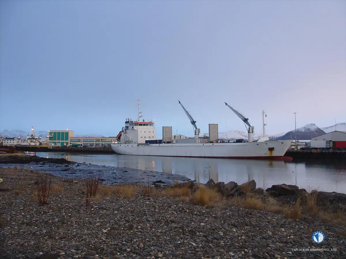 Reefer ship for sale
