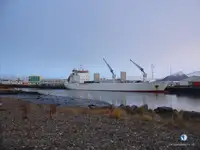 Reefer ship for sale
