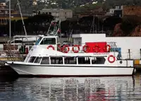 Dive support for sale