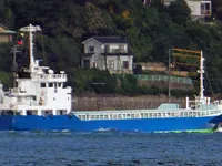 General Cargo/Multi-purpose for sale