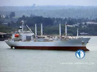 Reefer ship for sale