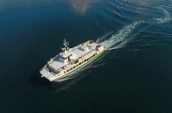 Catamaran for sale