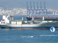Reefer ship for sale