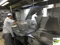 Cruise ship for sale