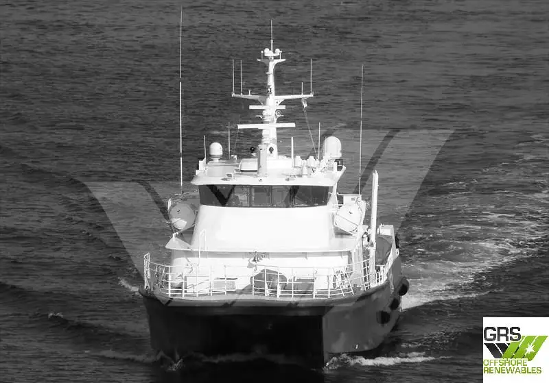 Catamaran for sale
