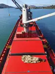 Bulk carrier for sale