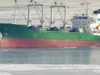 Reefer ship for sale