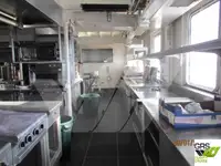 Cruise ship for sale