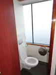 Cruise ship for sale