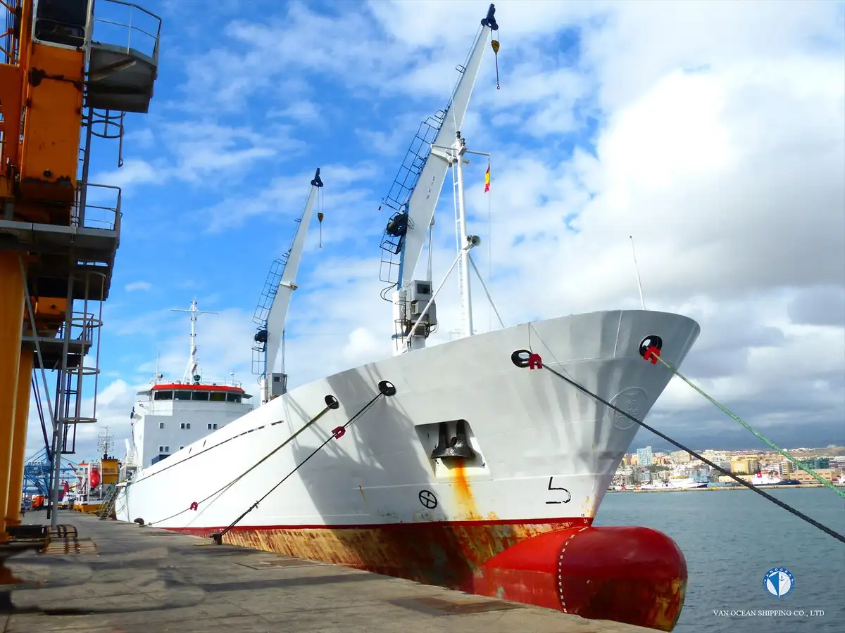 Reefer ship for sale