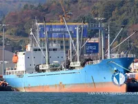 Reefer ship for sale
