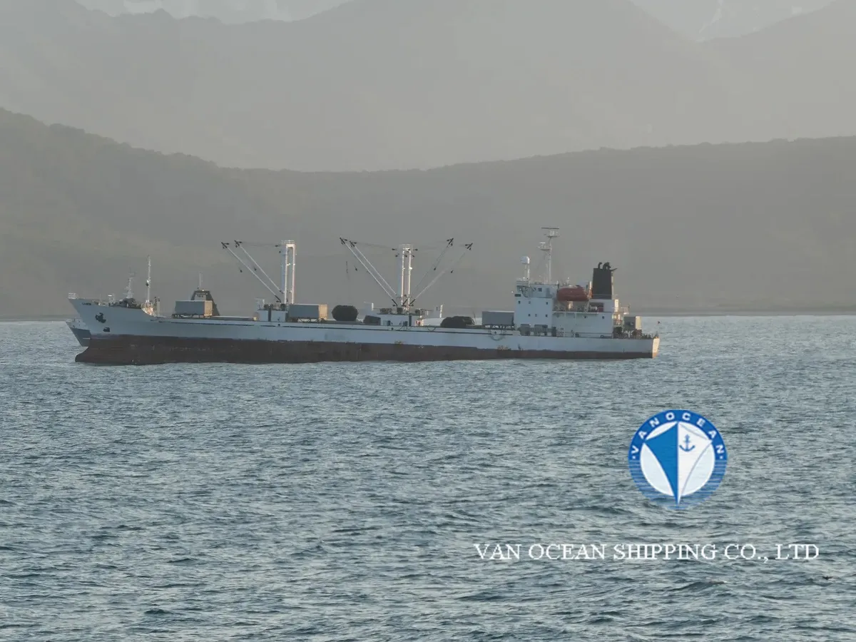 Reefer ship for sale