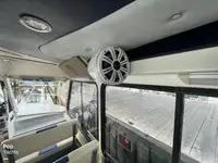Cruise ship for sale