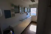 Cruise ship for sale