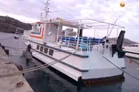 Ferry vessel for sale