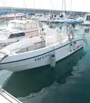 Cruise ship for sale