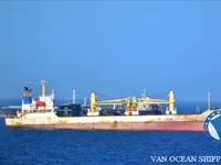 Reefer ship for sale