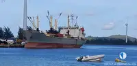 Reefer ship for sale