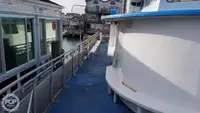 Catamaran for sale