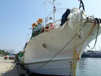 Squid jigger for sale