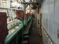 Squid jigger for sale