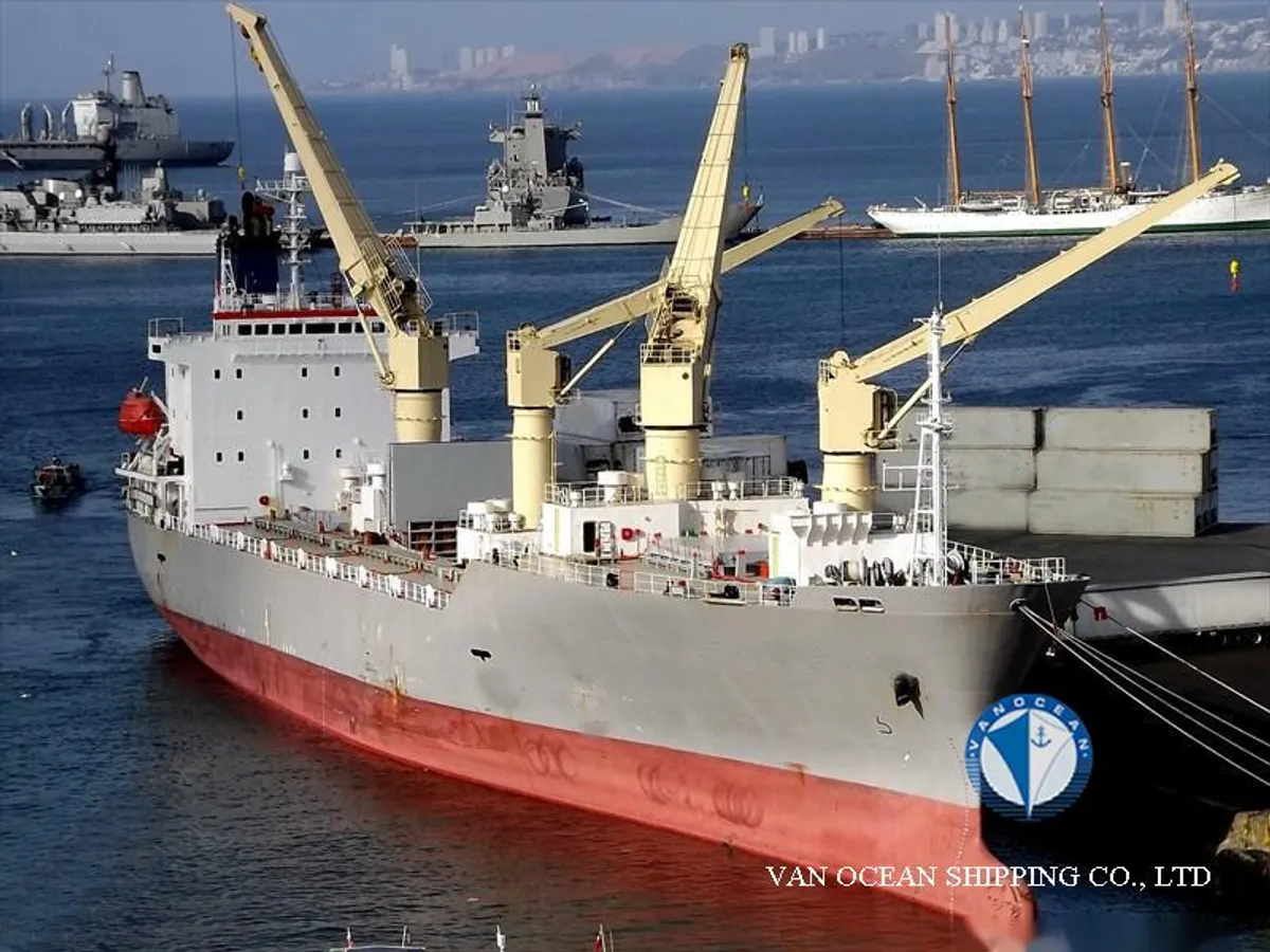 Reefer ship for sale