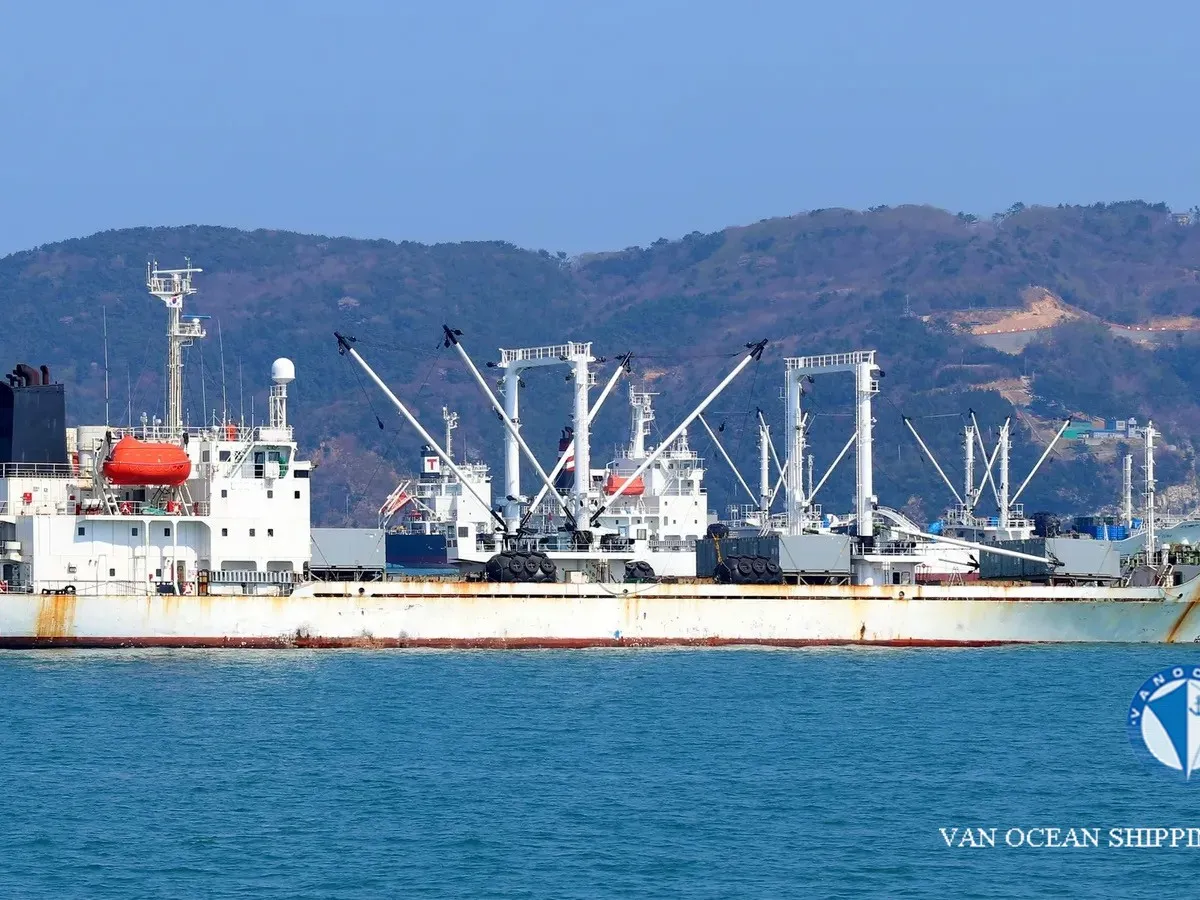 Reefer ship for sale