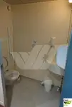 Catamaran for sale