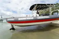 Amphibious for sale