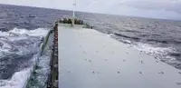 Bulk carrier for sale