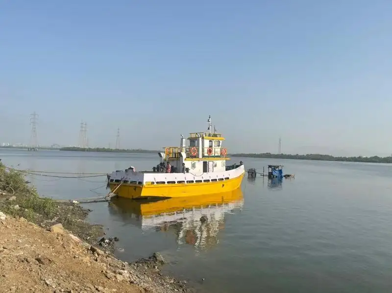 Towboat for sale