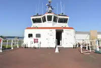 Catamaran for sale