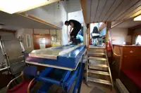 Ferry vessel for sale