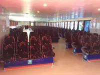 Cruise ship for sale