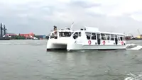 Catamaran for sale
