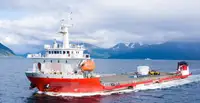 Bulk carrier for sale