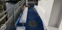 Catamaran for sale