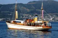 Cruise ship for sale