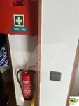 Cruise ship for sale