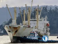 Reefer ship for sale